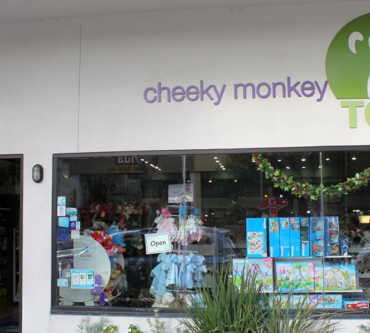 cheeky-monkey-toys-photo